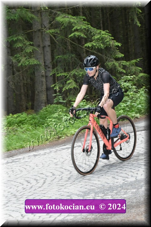 Náhled obrázku: 2024-1188-Brdy-.JPG