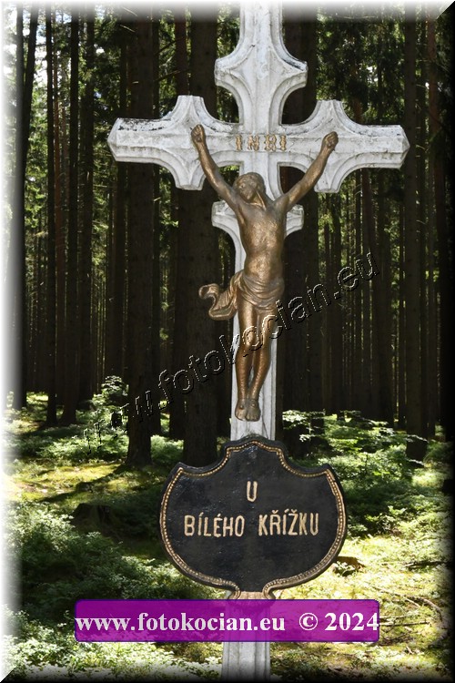 Náhled obrázku: 2024-1195-Brdy-.JPG