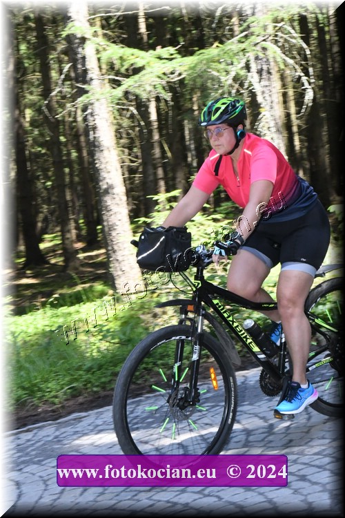 Náhled obrázku: 2024-1199-Brdy-.JPG