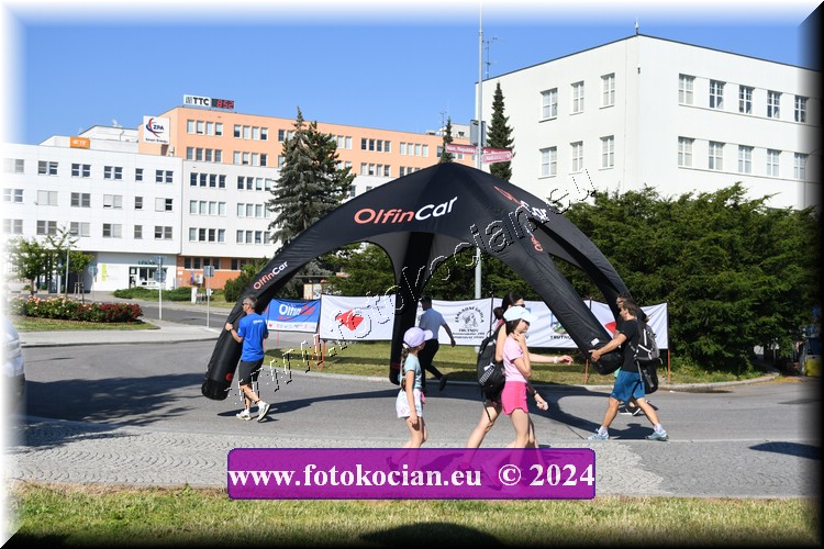 Náhled obrázku: D50_8326.JPG