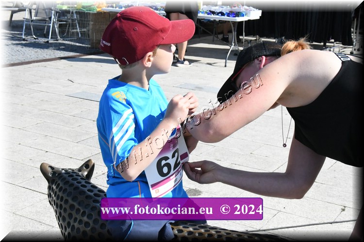 Náhled obrázku: D50_8349.JPG