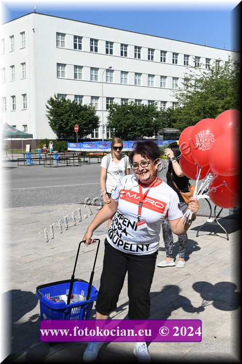 Náhled obrázku: D50_8374.JPG