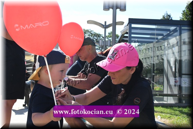 Náhled obrázku: D50_8376.JPG