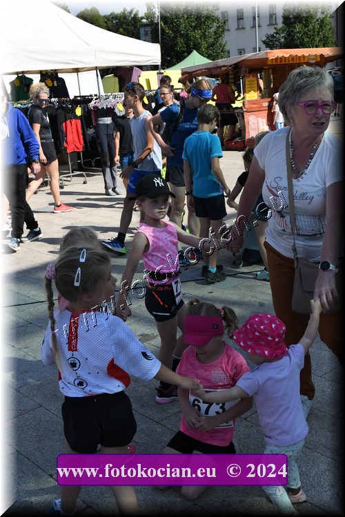 Náhled obrázku: D50_8392.JPG