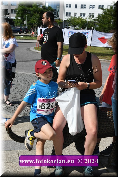 Náhled obrázku: D50_8403.JPG