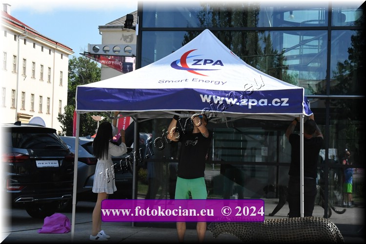 Náhled obrázku: D50_8407.JPG