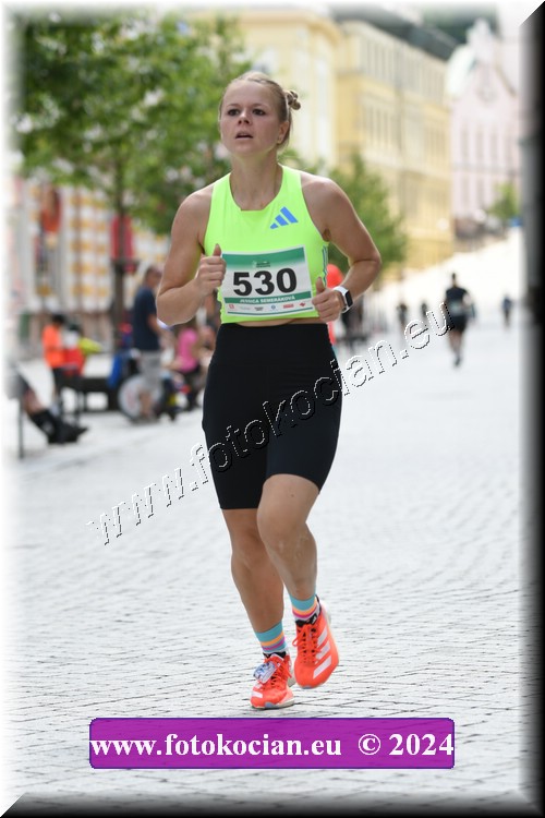 Náhled obrázku: 2024-1086-Trutnov-530.JPG