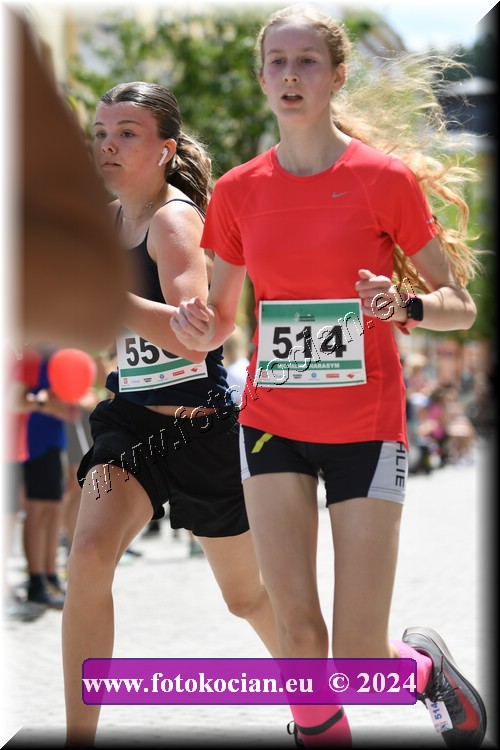 Náhled obrázku: 2024-1111-Trutnov-514.JPG