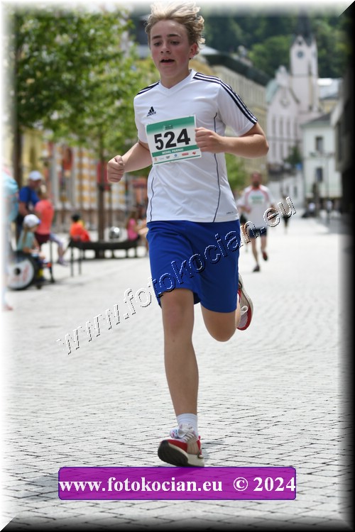 Náhled obrázku: 2024-1205-Trutnov-524.JPG