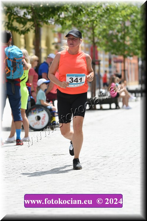 Náhled obrázku: 2024-1214-Trutnov-341.JPG