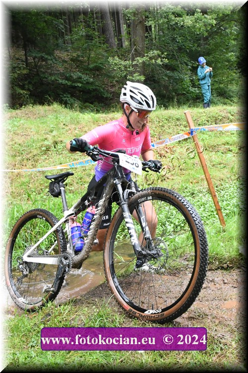 Náhled obrázku: 2024-1200-LazneBelohrad-238.JPG