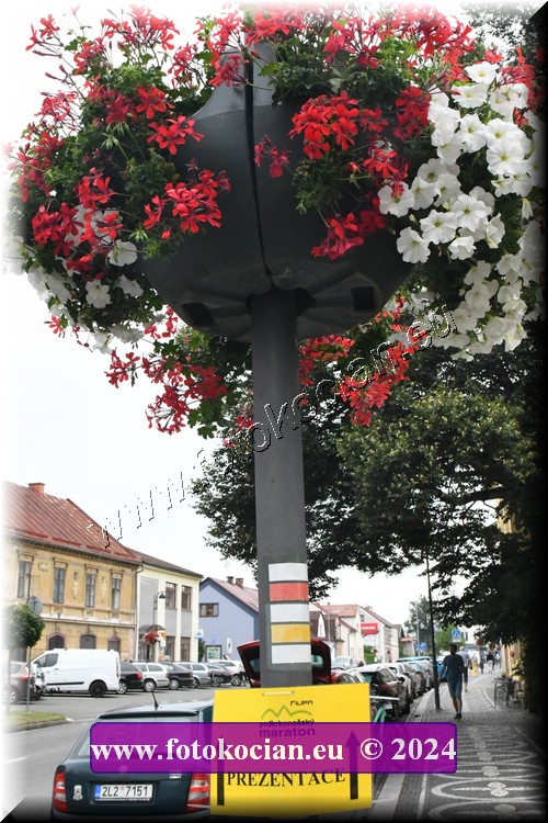 Náhled obrázku: 2024-3017-LazneBelohrad-.JPG