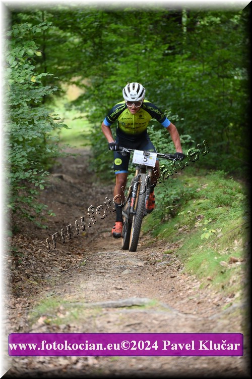 Náhled obrázku: 2024-1483-LazneBelohrad-5.JPG