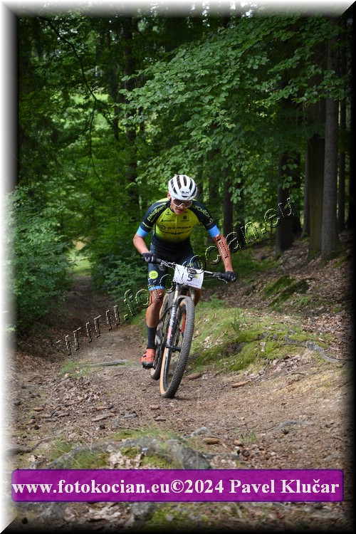 Náhled obrázku: 2024-1486-LazneBelohrad-5.JPG