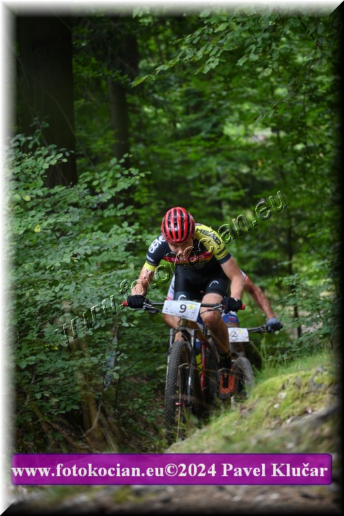 Náhled obrázku: 2024-1491-LazneBelohrad-9.JPG