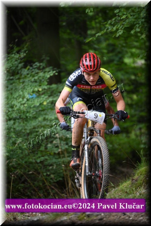 Náhled obrázku: 2024-1493-LazneBelohrad-9.JPG