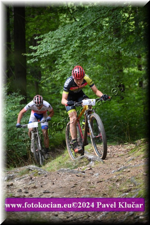 Náhled obrázku: 2024-1494-LazneBelohrad-9.JPG