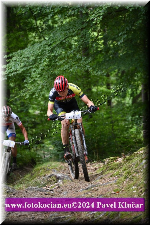 Náhled obrázku: 2024-1495-LazneBelohrad-9.JPG