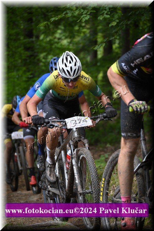 Náhled obrázku: 2024-1507-LazneBelohrad-274.JPG