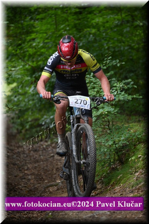 Náhled obrázku: 2024-1541-LazneBelohrad-270.JPG