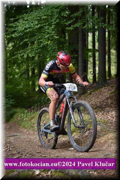 Náhled obrázku: 2024-1545-LazneBelohrad-270.JPG