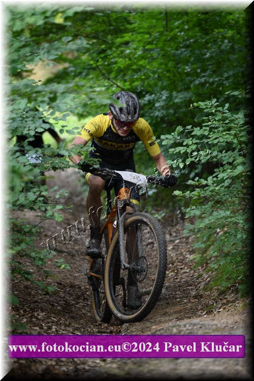 Náhled obrázku: 2024-1560-LazneBelohrad-58.JPG