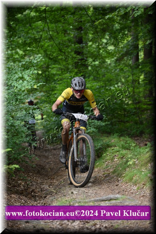 Náhled obrázku: 2024-1562-LazneBelohrad-58.JPG