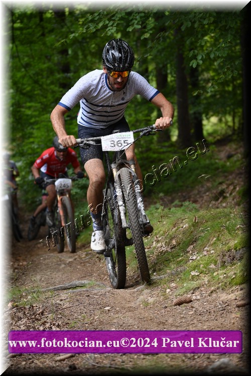 Náhled obrázku: 2024-1687-LazneBelohrad-365.JPG