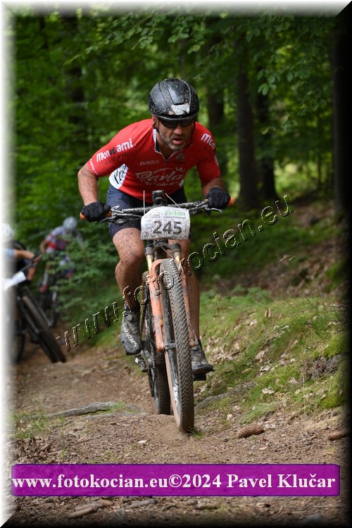 Náhled obrázku: 2024-1690-LazneBelohrad-245.JPG