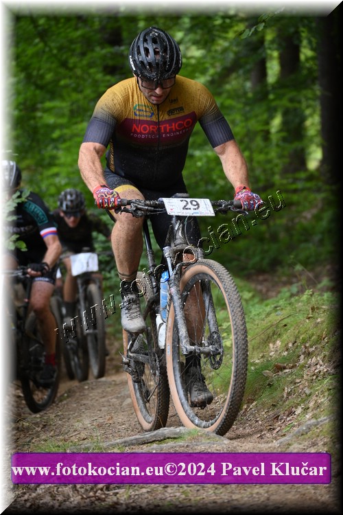 Náhled obrázku: 2024-1718-LazneBelohrad-29.JPG