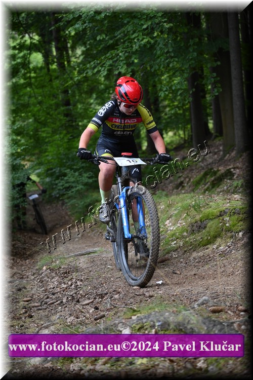 Náhled obrázku: 2024-1782-LazneBelohrad-10.JPG