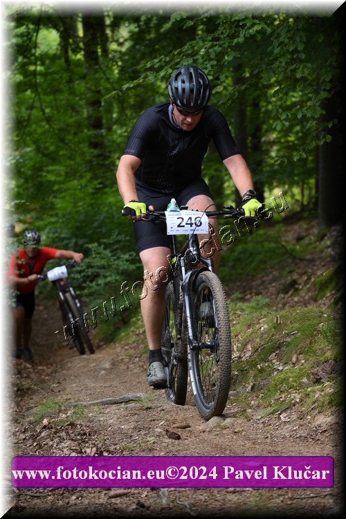 Náhled obrázku: 2024-1844-LazneBelohrad-246.JPG