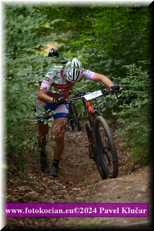 Náhled obrázku: 2024-1848-LazneBelohrad-362.JPG