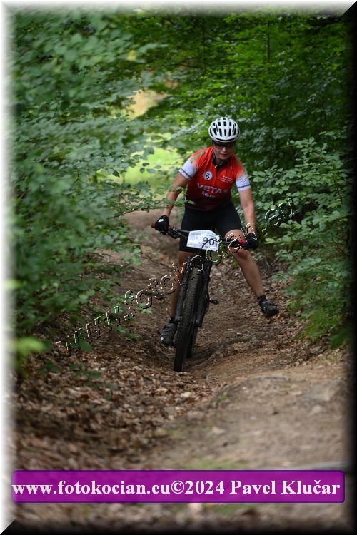 Náhled obrázku: 2024-1854-LazneBelohrad-190.JPG