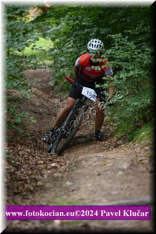 Náhled obrázku: 2024-1855-LazneBelohrad-190.JPG