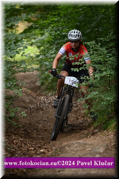 Náhled obrázku: 2024-1856-LazneBelohrad-190.JPG