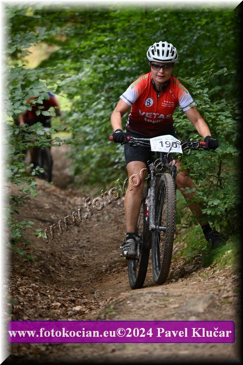 Náhled obrázku: 2024-1858-LazneBelohrad-190.JPG