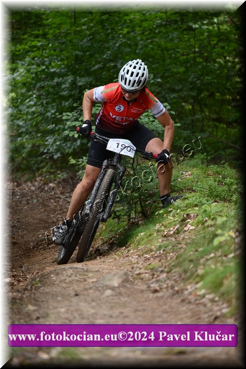 Náhled obrázku: 2024-1859-LazneBelohrad-190.JPG