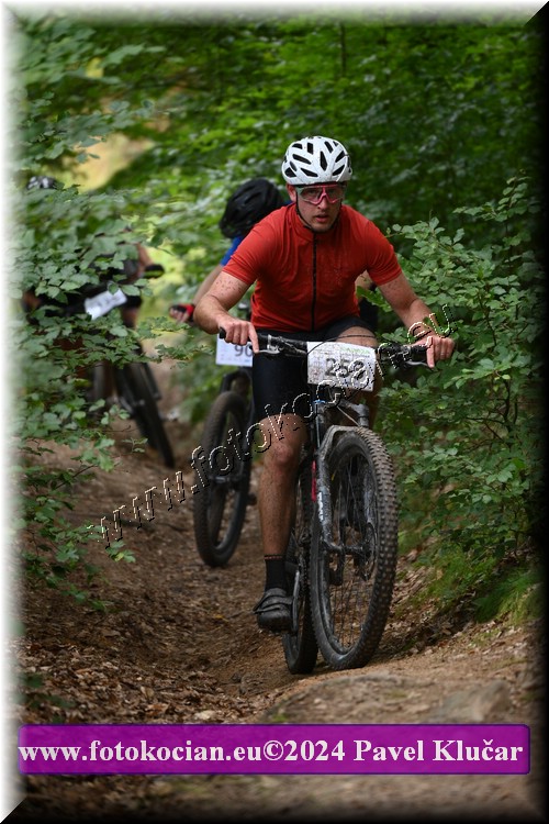 Náhled obrázku: 2024-1861-LazneBelohrad-253.JPG