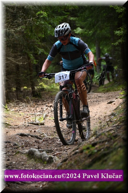 Náhled obrázku: 2024-1929-LazneBelohrad-317.JPG