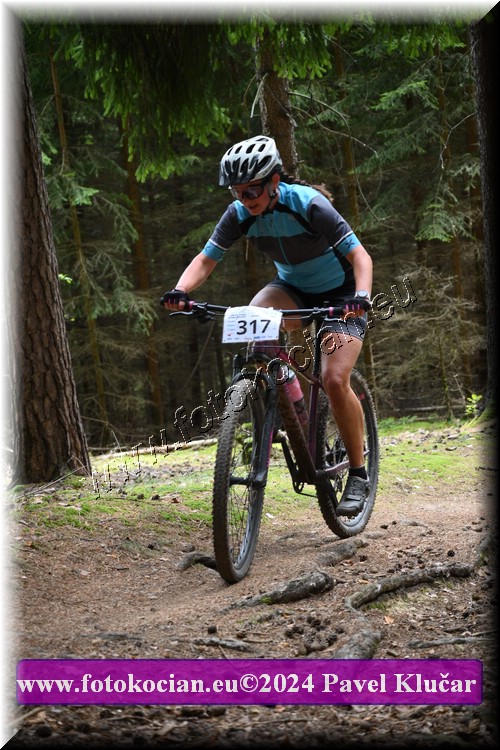 Náhled obrázku: 2024-1930-LazneBelohrad-317.JPG