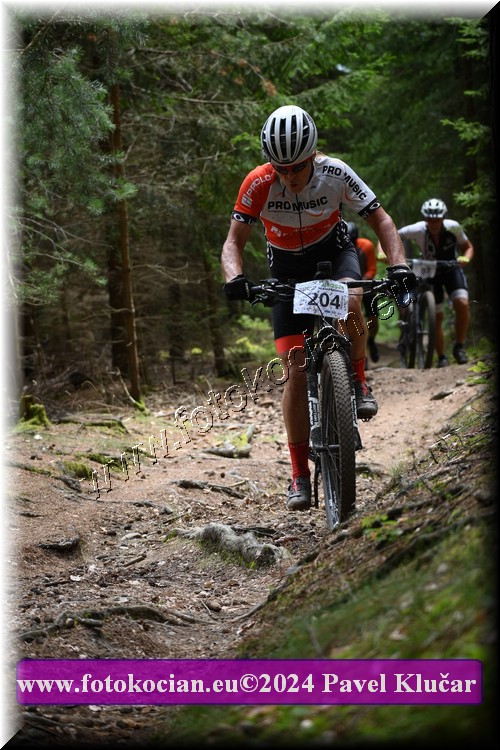 Náhled obrázku: 2024-1934-LazneBelohrad-204.JPG