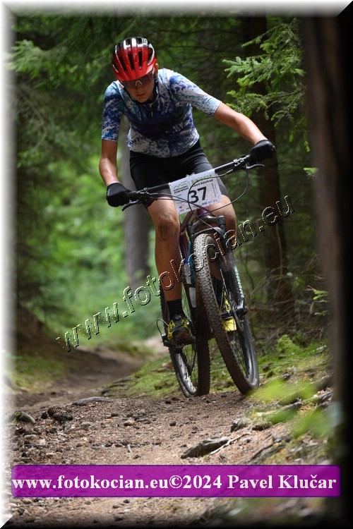 Náhled obrázku: 2024-1948-LazneBelohrad-37.JPG