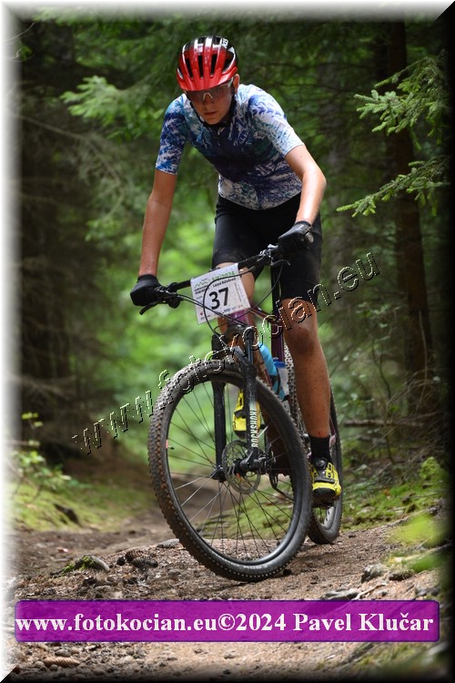 Náhled obrázku: 2024-1949-LazneBelohrad-37.JPG