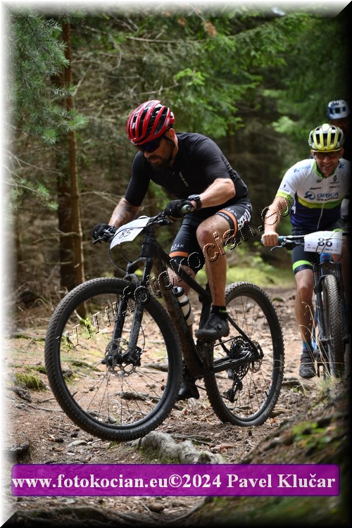 Náhled obrázku: 2024-1970-LazneBelohrad-85.JPG