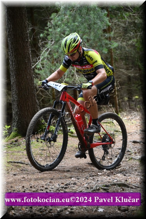 Náhled obrázku: 2024-1983-LazneBelohrad-161.JPG