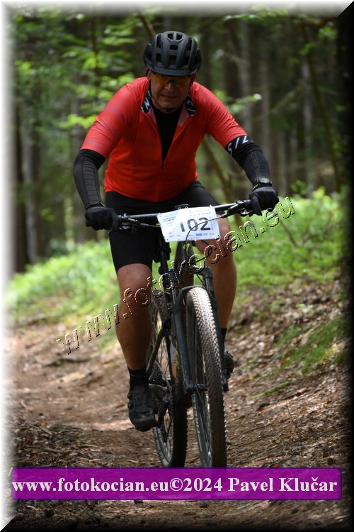 Náhled obrázku: 2024-2030-LazneBelohrad-102.JPG