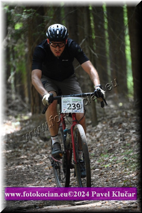 Náhled obrázku: 2024-2094-LazneBelohrad-239.JPG