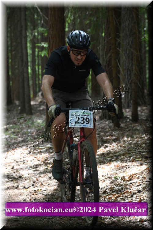 Náhled obrázku: 2024-2096-LazneBelohrad-239.JPG