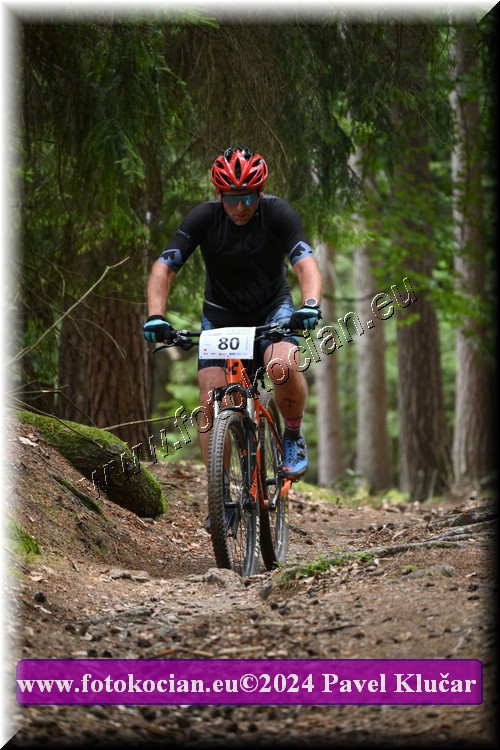 Náhled obrázku: 2024-2144-LazneBelohrad-80.JPG